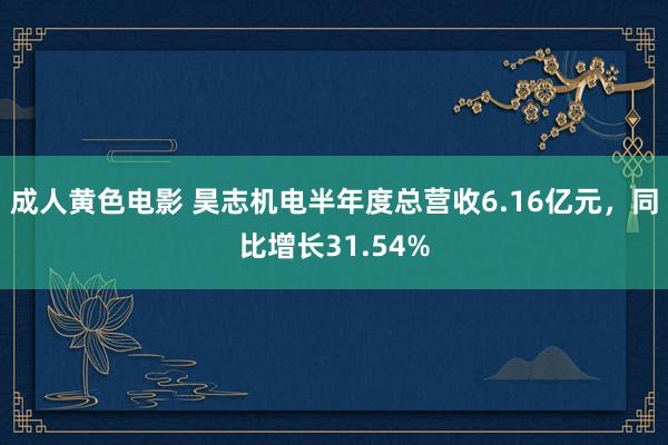 成人黄色电影 昊志机电半年度总营收6.16亿元,同比增长31.54%