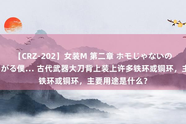 【CRZ-202】女装M 第二章 ホモじゃないのにチ○ポを欲しがる僕… 古代武器大刀背上装上许多铁环或铜环，主要用途是什么？
