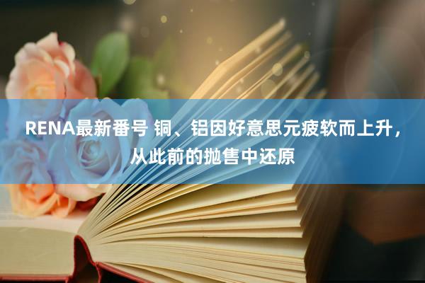 RENA最新番号 铜、铝因好意思元疲软而上升,从此前的抛售中还原