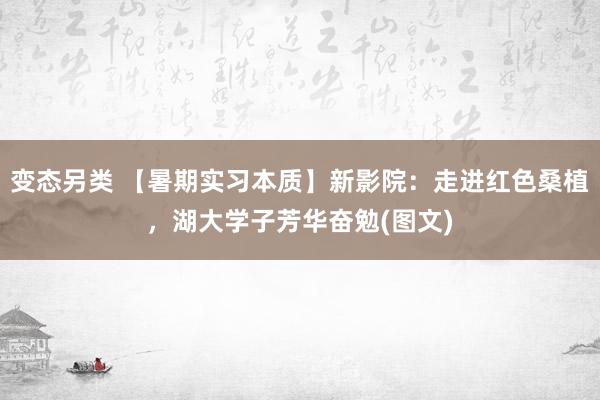 变态另类 【暑期实习本质】新影院：走进红色桑植，湖大学子芳华奋勉(图文)