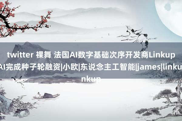 twitter 裸舞 法国AI数字基础次序开发商Linkup AI完成种子轮融资|小欧|东说念主工智能|james|linkup