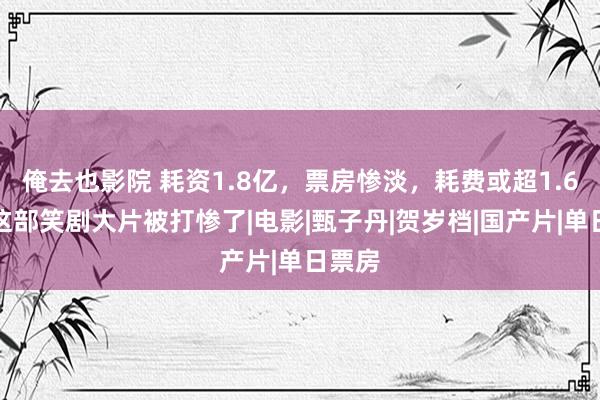 俺去也影院 耗资1.8亿，票房惨淡，耗费或超1.6亿，这部笑剧大片被打惨了|电影|甄子丹|贺岁档|国产片|单日票房