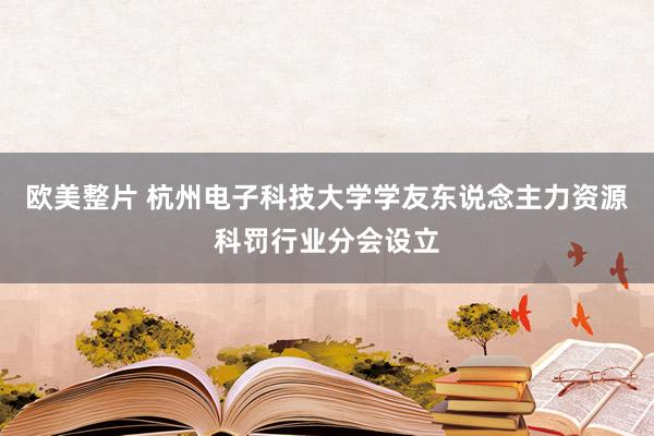 欧美整片 杭州电子科技大学学友东说念主力资源科罚行业分会设立