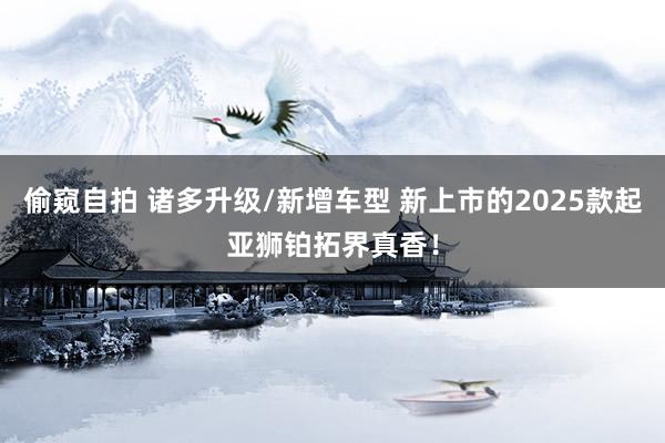 偷窥自拍 诸多升级/新增车型 新上市的2025款起亚狮铂拓界真香！