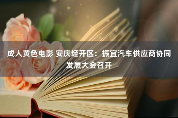 成人黄色电影 安庆经开区：振宜汽车供应商协同发展大会召开
