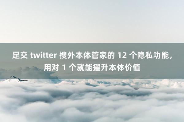 足交 twitter 搜外本体管家的 12 个隐私功能，用对 1 个就能擢升本体价值