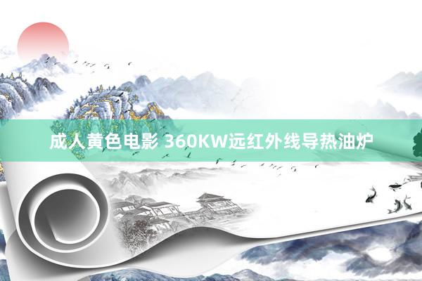 成人黄色电影 360KW远红外线导热油炉