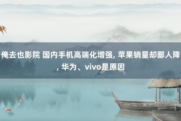 俺去也影院 国内手机高端化增强， 苹果销量却鄙人降， 华为、vivo是原因