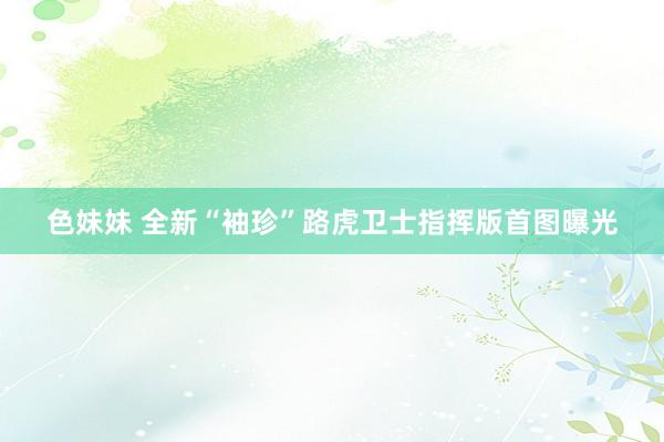 色妹妹 全新“袖珍”路虎卫士指挥版首图曝光