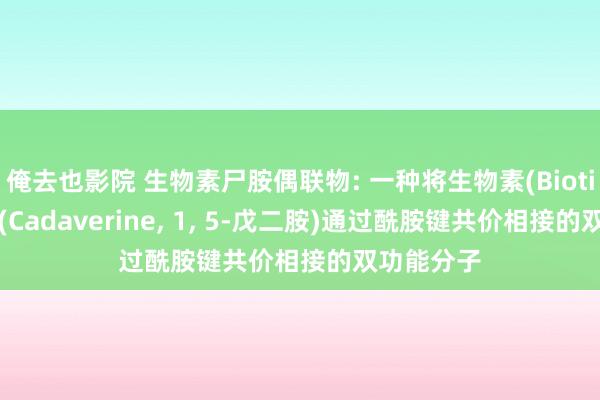 俺去也影院 生物素尸胺偶联物: 一种将生物素(Biotin)与尸胺(Cadaverine， 1， 5-戊二胺)通过酰胺键共价相接的双功能分子